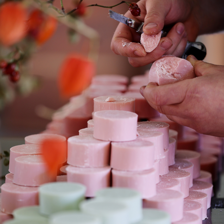 Shampoo Bars & Conditioner